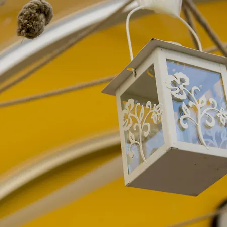 Nelson 알바아드리안티카